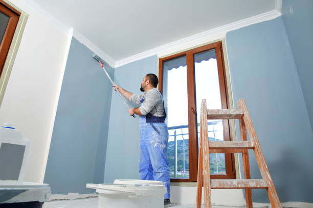 Reliable Hayfield, VA Mold Removal Solutions